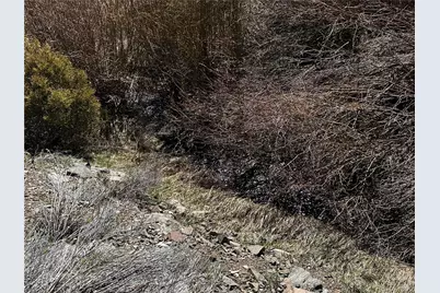 Lot 223 Hwy 160, Fort Garland, CO 81133 - Photo 6