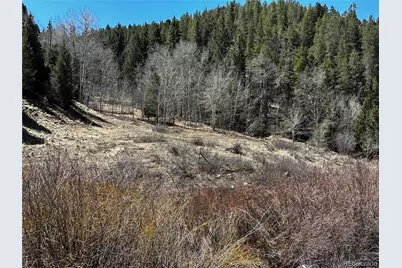 Lot 223 Hwy 160, Fort Garland, CO 81133 - Photo 2