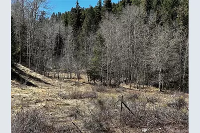 Lot 223 Hwy 160, Fort Garland, CO 81133 - Photo 1