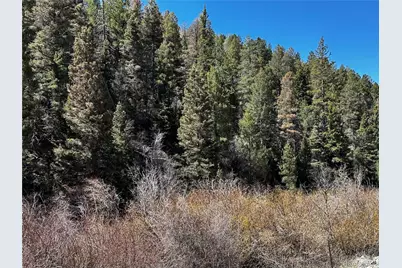 Lot 223 Hwy 160, Fort Garland, CO 81133 - Photo 4