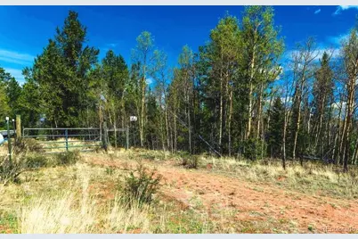 977 Cr-61, Divide, CO 80814 - Photo 8