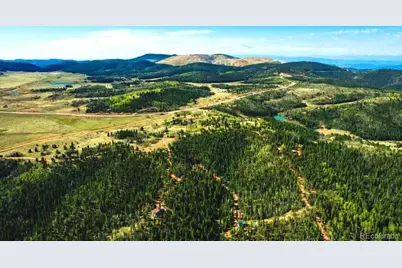 977 Cr-61, Divide, CO 80814 - Photo 16