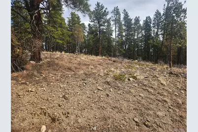 Vacant Land On Fools Gold Road, Idaho Springs, CO 80452 - Photo 12