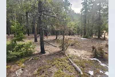 Vacant Land On Fools Gold Road, Idaho Springs, CO 80452 - Photo 8