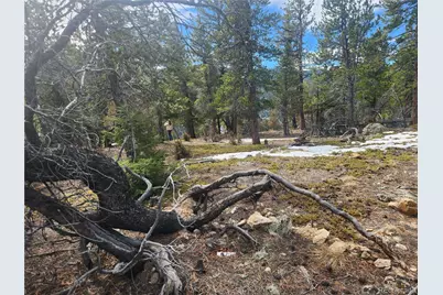 Vacant Land On Fools Gold Road, Idaho Springs, CO 80452 - Photo 6