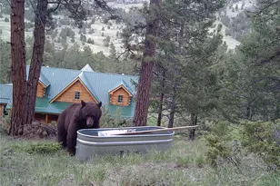 9100 Co Rd 102, Guffey, CO 80820 - Photo 48