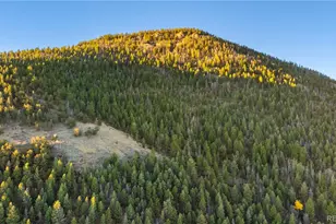 9100 Co Rd 102, Guffey, CO 80820 - Photo 40