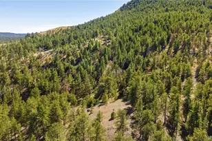 9100 Co Rd 102, Guffey, CO 80820 - Photo 50