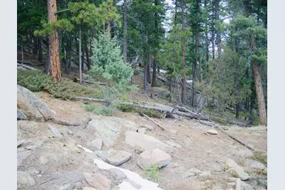 22076 High Springs Trail, Morrison, CO 80465 - Photo 2