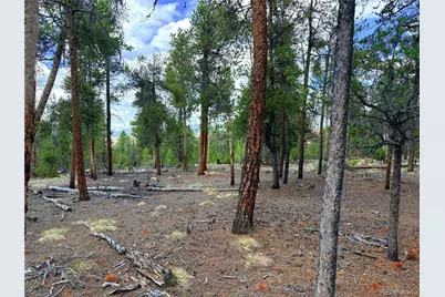360 Lodgepole Drive, Leadville, CO 80461 - Photo 4
