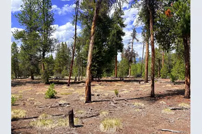 360 Lodgepole Drive, Leadville, CO 80461 - Photo 1