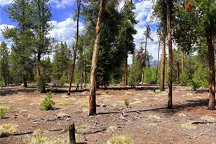 360 Lodgepole Dr, Leadville, CO 80461 - Photo 1
