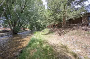 121 Brookdale, Buena Vista, CO 81211 - Photo 2