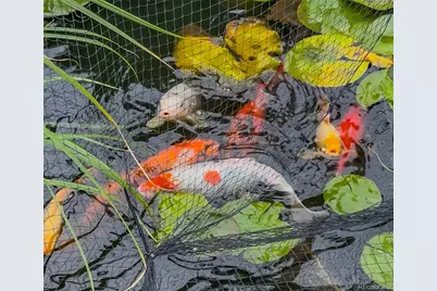 8024 S Cody Street, Littleton, CO 80128 - Photo 30