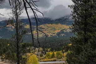 1555 Shelton Dr, Bailey, CO 80421 - Photo 24