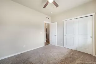 7296 Alpine Daisy Dr, Colorado Springs, CO 80925 - Photo 26