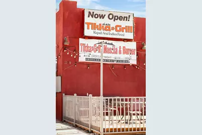 438 N Downing Street, Denver, CO 80218 - Photo 34