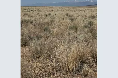 Lot 28 Monte Vista Rd., Blanca, CO 81123 - Photo 6