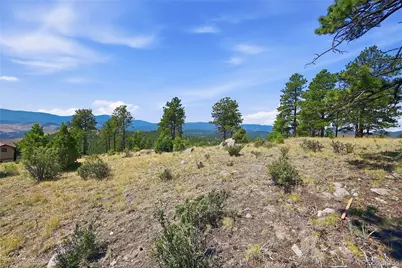 33550 Mount Wilson Road, Pine, CO 80470 - Photo 10
