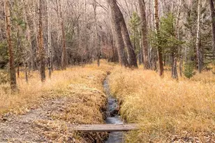 18957 Co Rd 162, Nathrop, CO 81236 - Photo 30
