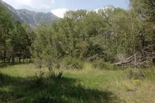 18957 Co Rd 162, Nathrop, CO 81236 - Photo 38