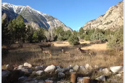 18957 County Road 162, Nathrop, CO 81236 - Photo 34