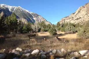 18957 Co Rd 162, Nathrop, CO 81236 - Photo 34