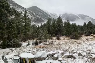 18957 Co Rd 162, Nathrop, CO 81236 - Photo 36