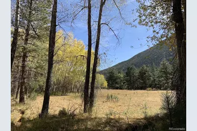 18957 County Road 162, Nathrop, CO 81236 - Photo 40