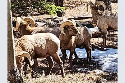 18957 County Road 162, Nathrop, CO 81236 - Photo 44