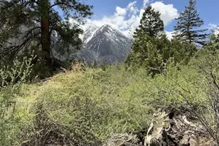 18957 Co Rd 162, Nathrop, CO 81236 - Photo 46