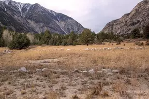 18957 Co Rd 162, Nathrop, CO 81236 - Photo 28