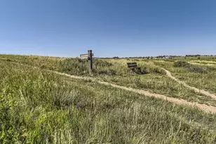 16439 Standing Elk Dr, Parker, CO 80134 - Photo 16