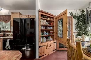 13202 Riley Peak Rd, Conifer, CO 80433 - Photo 16