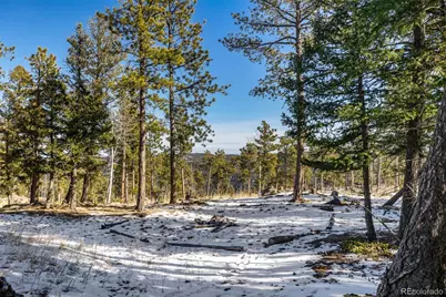 13202 Riley Peak Road, Conifer, CO 80433 - Photo 44