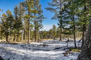 13202 Riley Peak Rd, Conifer, CO 80433 - Photo 44