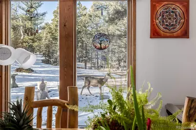 13202 Riley Peak Road, Conifer, CO 80433 - Photo 14