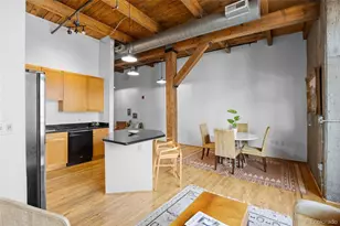 2960 Inca Street, Denver, CO 80202 - Photo 6