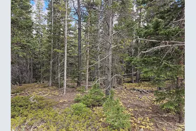 617 Gold Trail Circle, Fairplay, CO 80440 - Photo 6