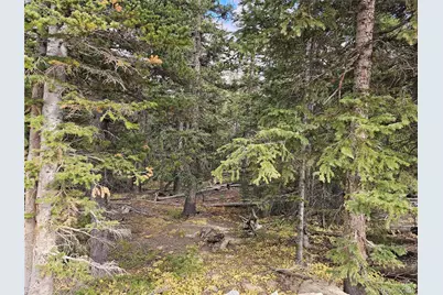 617 Gold Trail Circle, Fairplay, CO 80440 - Photo 2