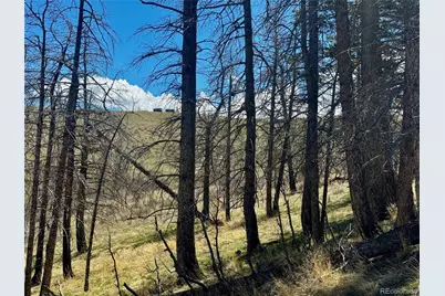 Lot 7712 Hallstein Road, Fort Garland, CO 81133 - Photo 20