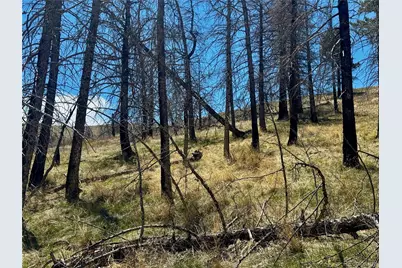 Lot 7712 Hallstein Road, Fort Garland, CO 81133 - Photo 18