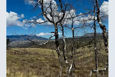 Lot 7712 Hallstein Road, Fort Garland, CO 81133 - Photo 12