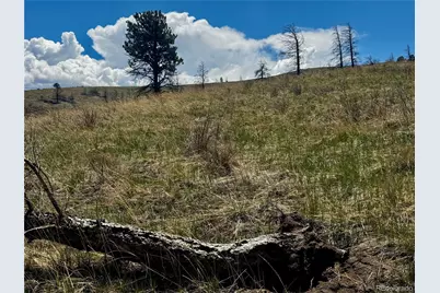 Lot 7712 Hallstein Road, Fort Garland, CO 81133 - Photo 6