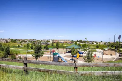 1020 English Sparrow Trail, Littleton, CO 80129 - Photo 48