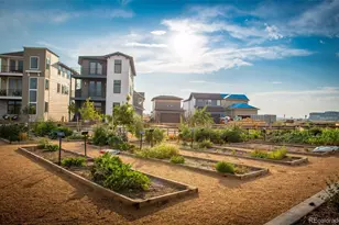 6322 N Malaya St, Aurora, CO 80019 - Photo 14