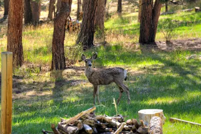 281 Kings, Evergreen, CO 80439 - Photo 12