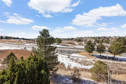 8333 Briar Trace Way, Castle Pines, CO 80108 - Photo 44