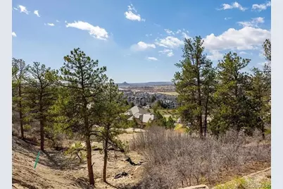 655 Ruby Trust Drive, Castle Rock, CO 80108 - Photo 12