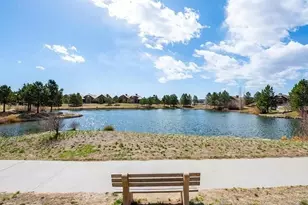 655 Ruby Trust Dr, Castle Rock, CO 80108 - Photo 18